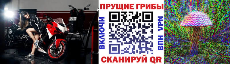 Псилоцибиновые грибы ЛСД  это наркотические препараты  Алатырь 