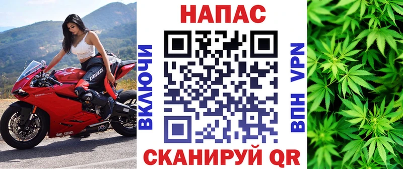 Канабис ГИДРОПОН  Алатырь 